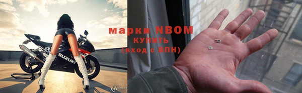 apvp Белокуриха