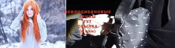 apvp Белокуриха