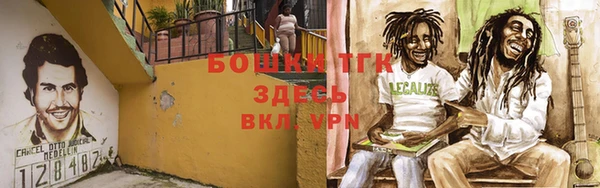 apvp Белокуриха