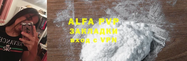 ECSTASY Бородино