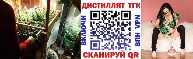 Купить где  Макаров  ТГК концентрат 