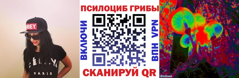 Купить  Макаров  Галлюциногенные грибы Cubensis 